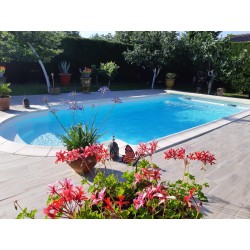 INTEMPORELLE 810 FOND PLAT